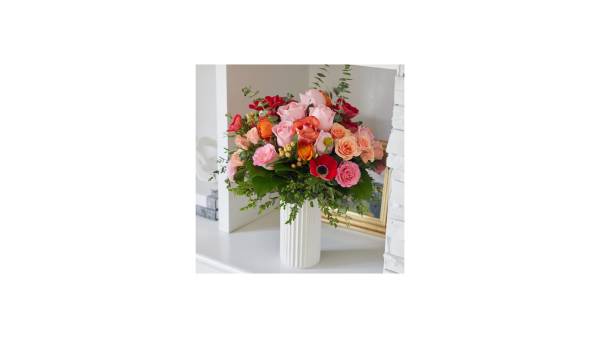 Alstroemeria - Image 5