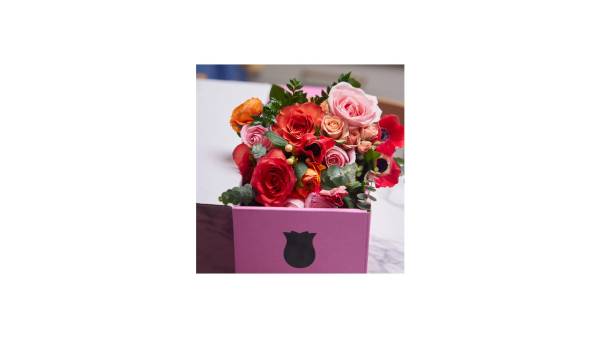 Gerbera Daisies - Image 4