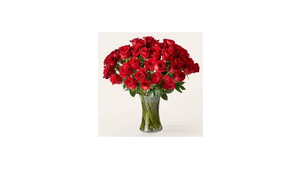Black Rose - Image 2