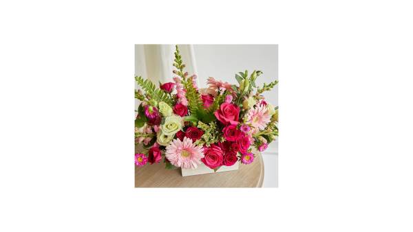 Gerbera Daisies - Image 2