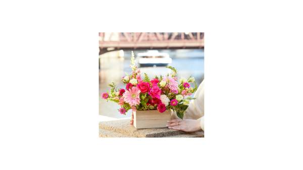 White Lilies - Image 4