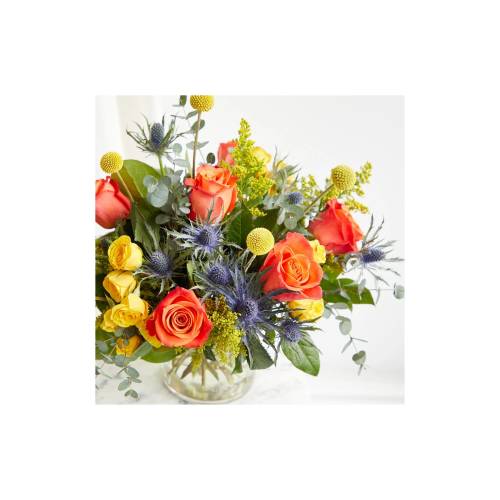 Alstroemeria