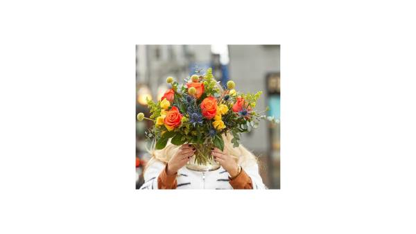 Sunflowers - Image 2
