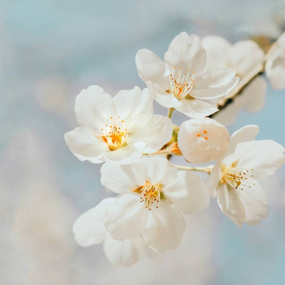 jei-lee-yRXuXvy4sQ4-unsplash